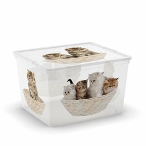 Úložný box KIS C-Box Puppy & Kitten Cube 27l