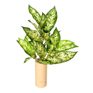 Umělá Mramornatka zelená, 45 cm